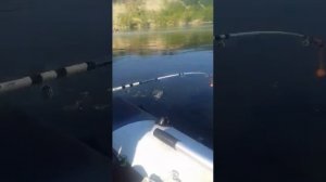 Рыбалка в Татарстане , ловля леща на реке Кама в районе города Чистополь