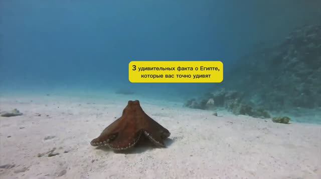ИНТЕРЕСНЫЕ ФАКТЫ ПРО ЕГИПЕТ смотреть онлайн