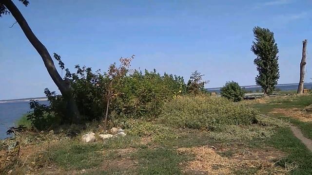 Что такое Сенгилей. Нашли новую набережную смотреть онлайн