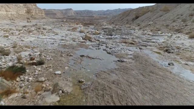 Река Цин в Израиле смотреть онлайн