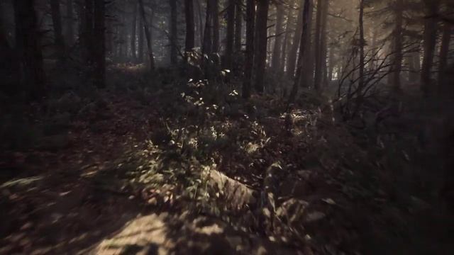 ВЕДЬМА ИЗ БЛЭР НАЧАЛО ИСТОРИИ!ХОРРОР ИГРА BLAIR WITCH ПРОХОЖДЕНИЕ!ШОУ ХРИПЛОГО!Walkthrough!ЛЕС смотреть онлайн