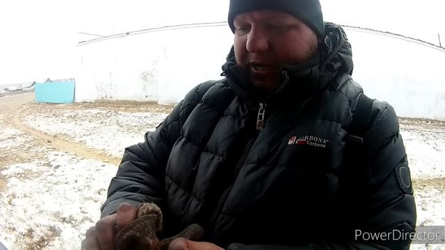 Всё приехал!!!!! Ремонт ГУРа в полевых условиях смотреть онлайн