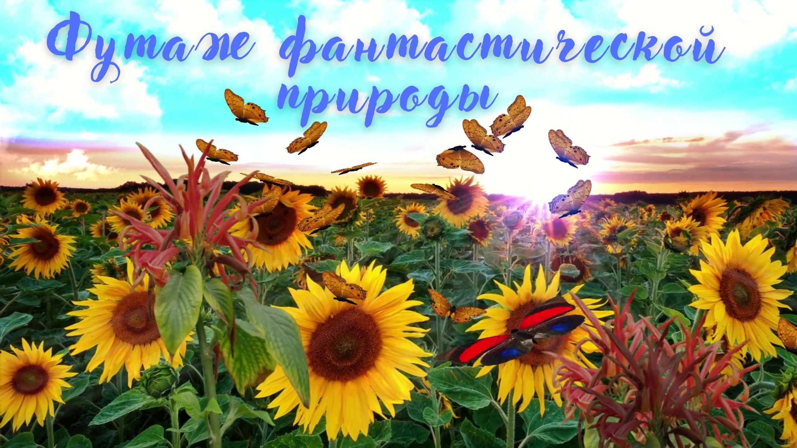 Футаж фантастической природы. Красивая музыка для души Эдгара Туниянца смотреть онлайн