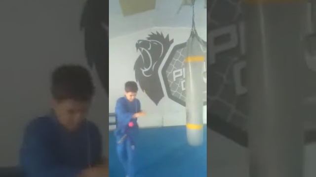 Тренировка детей с Fight Ball смотреть онлайн
