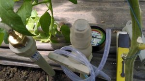 Тензиометр проверка влажности почвы!