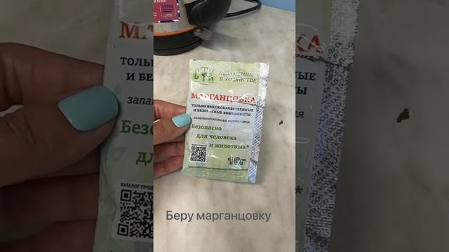 Теплица без вредителей!#вредители #теплица #посадка #любимаядача #люди #жизнь #растения #рассада смотреть онлайн