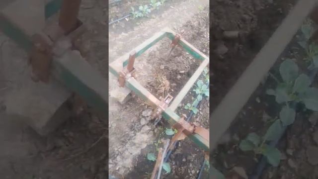 Культивация капусты сф160 Булат(шифенг) смотреть онлайн