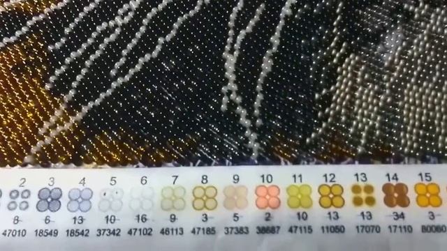 сп животные отчёт 5