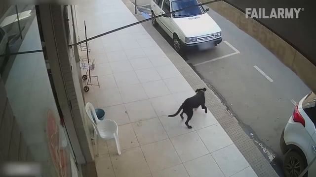 Hilarious CCTV Fails Of 2022 _ FailArmy