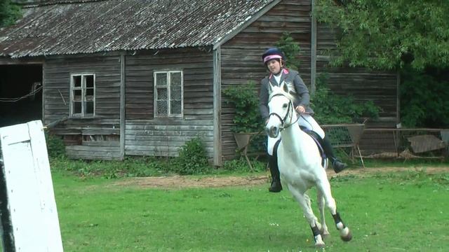 Lands End Show Jumping 2/6/13