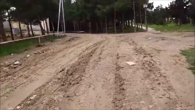 СПАСЕНИЕ СОБАКИ, пострадавшей от рук живодёров смотреть онлайн