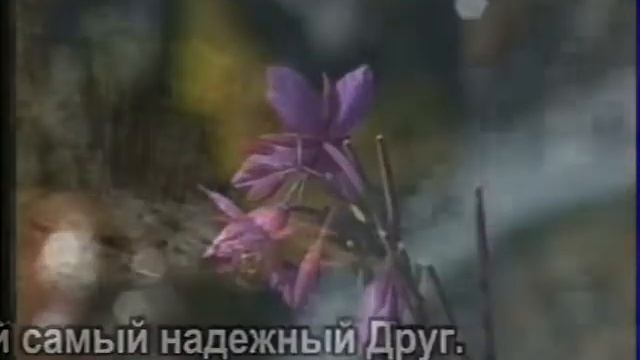 Хорошо мне с Тобой везде # фонограмма