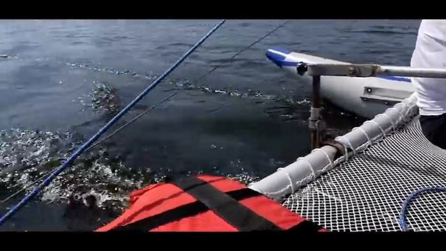 05 КАТАМАРАН "КАМПАЗИТОР" река ДНЕПР. ПРОГУЛКИ по МОРЮ ПОД ПАРУСАМИ. смотреть онлайн