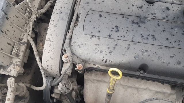 Как определить неисправность мембраны клапанной крышки opel. Двигатель Opel слишком много ест масла смотреть онлайн