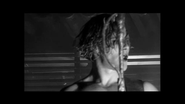 RAMMSTEIN - Tier (RICHARD KRUSPE and PAUL LANDERS Multicam ProShot) смотреть онлайн