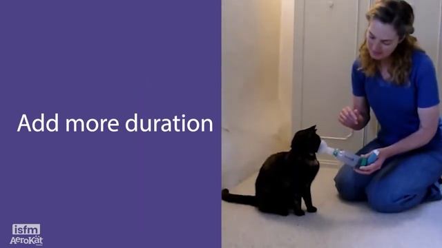 Teach Any Cat AeroKat* - 4: Extending The Duration