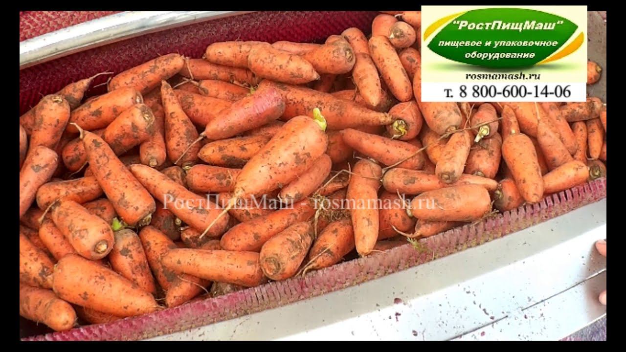Обзор чистки моркови на GB-1000 от РостПищМаш смотреть онлайн