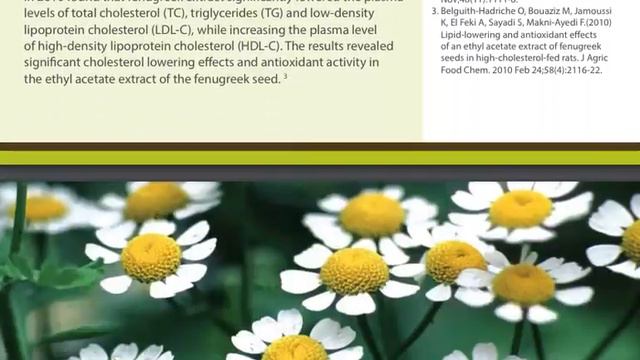 The Natural Path - A Guide To Herbal Benefits by Paul Kramer ( all 23 Herbs of Intra) смотреть онлайн