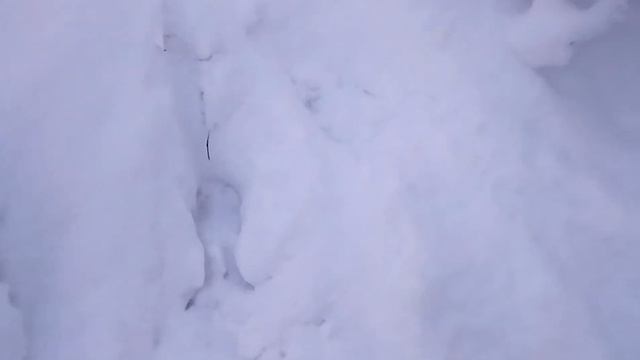 Конец полярной ночи. Мурманск. Зима в Заполярье 2019. Встреча с солнцем после долгой разлуки. смотреть онлайн