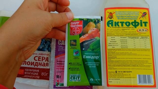 Цикламен.(Cyclamen) Акарициды - препараты от клещей смотреть онлайн