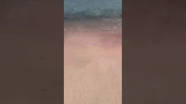 Elafonissi Beach Pink Sand Snaphot