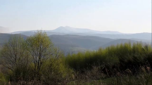 Белый вальс цветущей алычи смотреть онлайн