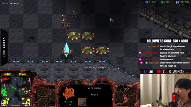 Starcraft Remastered Fastest Map | Live Stream 12.12.22 смотреть онлайн