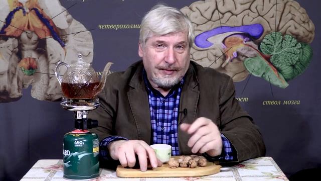 С. Савельев. Где наш хвост.mp4