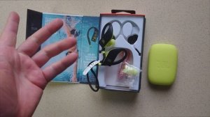 Нюансы использования наушников. Наушники JBL Endurance DIVE