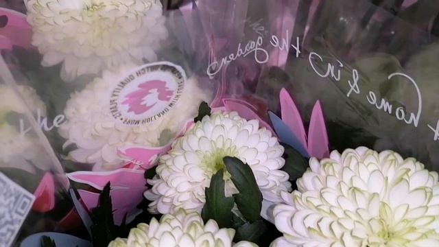 Море цикламенов в Леруа Мерлен. 🌺🌺🌺. смотреть онлайн