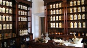 когда появился первый автомобиль?