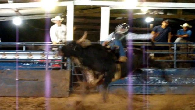 NATANAEL NEVES x MENTE BRILHANTE Cia Blindado смотреть онлайн