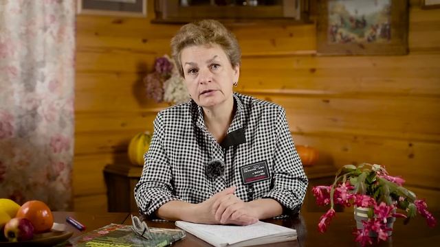 Садовые работы в декабре смотреть онлайн