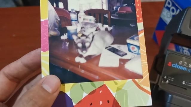 Review : Polariod 636 close up กล้องสุดคุ้ม смотреть онлайн