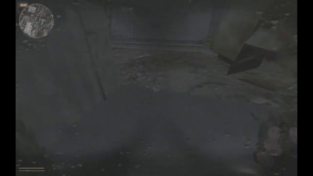 забрал заказной тоз-34 с дикой территории S.T.A.L.K.E.R Dead Air №2 смотреть онлайн