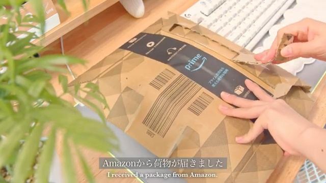 【vlog】予約殺到！1万円で買える話題のイヤホンqdc「SUPERIOR」 смотреть онлайн