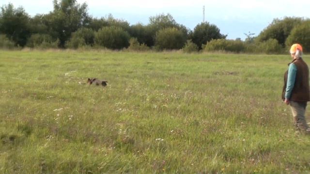 Дэрика охота 2 смотреть онлайн