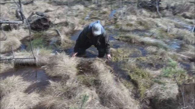 Вездеход MAX IV in Russia Offroad.wmv смотреть онлайн