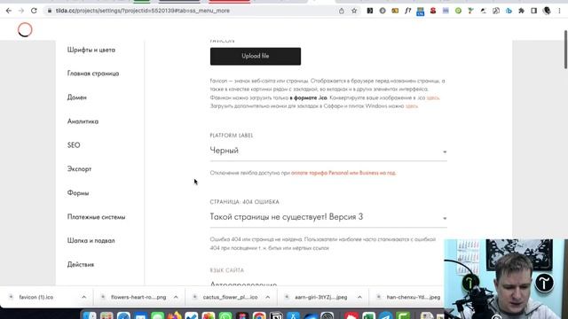 Как создать и загрузить фавикон на Тильде | Как установить favicon на сайте Tilda смотреть онлайн