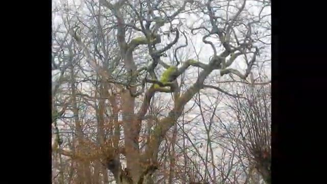 по Видземе в ноябре