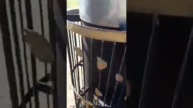 Печь из трубы 426мм смотреть онлайн