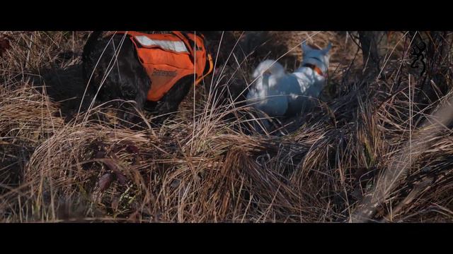 Browning Maral - The most effective straight pull action rifle смотреть онлайн
