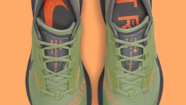 FLIGHT JACKET COLORS Nike Pegasus Trail 3 Gore-Tex DETAILED LOOK and Release Update смотреть онлайн