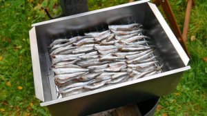 Они НАСТОЯЩИЕ! ШПРОТЫ в ДОМАШНИХ УСЛОВИЯХ. Рецепт.