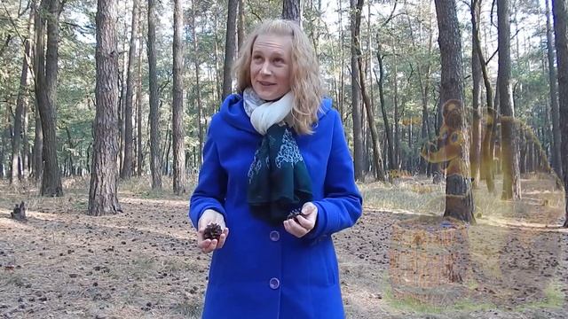 Осенние поделки. Новинка 2015 года. Багрики TV. смотреть онлайн