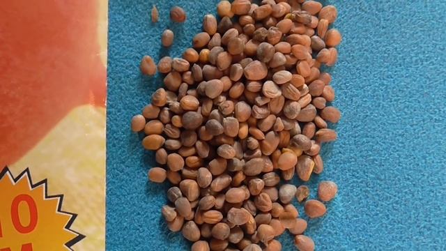 КАК ПОСАДИТЬ РЕДИСКУ...ПО ЛУННОМУ КАЛЕНДАРЮ. смотреть онлайн