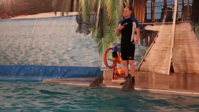 дельфины поют смотреть онлайн