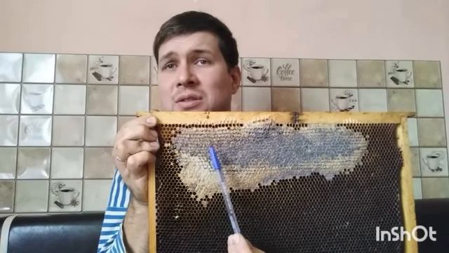Как зимуют пчёлы?! ( кладу подушки) смотреть онлайн