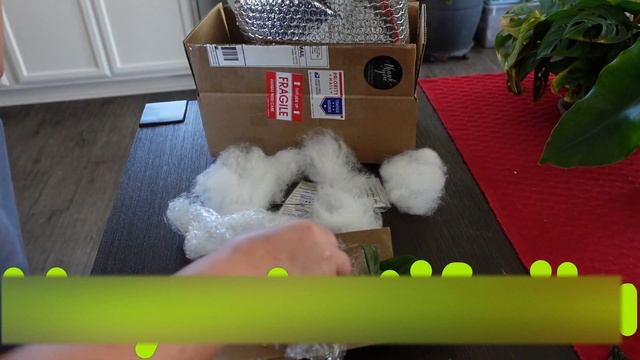 Unboxing Hoya Neocaledonica, Latifolia, Mathilde Splash, Heuschkeliana, and Variegated Hoya Bella смотреть онлайн