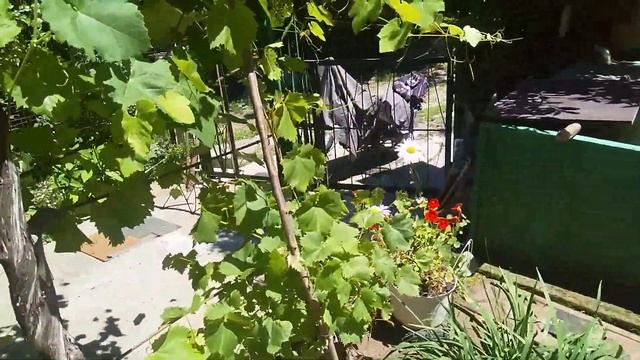 Лаврушка на  плов